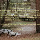 Business 2 image REIKI FOR ALL ANIMALS Pets & Animals in London Gr