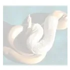 Business 3 image RGIS Planning Consultants in Swadlincote De