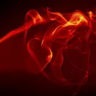 Business 4 image RHSS LTD Training Services in Croydon Gr