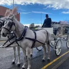 Business 3 image RICHARD & SHANNON JENKINS FUNERAL DIRECTORS Monumental Masons & Memorials in Liverpool Me