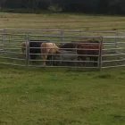 Business 3 image ROBERT THORNE AND SONS LLP Timber Merchants in WIMBORNE Do