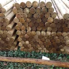 Business 4 image ROBERT THORNE AND SONS LLP Timber Merchants in WIMBORNE Do