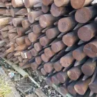 Business 5 image ROBERT THORNE AND SONS LLP Timber Merchants in WIMBORNE Do