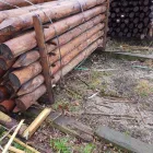 Business 7 image ROBERT THORNE AND SONS LLP Timber Merchants in WIMBORNE Do