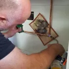 Business 10 image ROBIN'S HEATING & PLUMBING SERVICES LTD Plumbing & HVAC Supplies in Swadlincote De