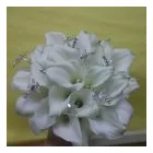 Business 22 image ROCKET RONNIES Pubs in Newport Is