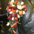 Business 6 image ROCKET RONNIES Pubs in Newport Is