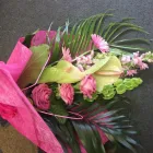 Business 24 image ROCKET RONNIES Pubs in Newport Is