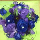 Business 7 image ROCKET RONNIES Pubs in Newport Is