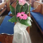 Business 28 image ROCKET RONNIES Pubs in Newport Is