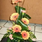 Business 16 image ROCKET RONNIES Pubs in Newport Is