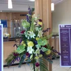 Business 17 image ROCKET RONNIES Pubs in Newport Is