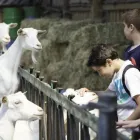 Business 11 image ROCKNROLL ADVENTURES Travel Agents in Brighton Ea