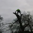 Business 3 image RODGERS THE FLORISTS Florists in Manchester La