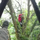 Business 1 image RODGERS THE FLORISTS Florists in Manchester La