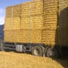Business 2 image ROGER LLEWELLYN LTD Transportation Services in Bishops Castle Sh