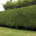 Business 16 image ROOFLINE REPLACEMENT Roofing Services in Leicester Le