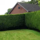 Business 21 image ROOFLINE REPLACEMENT Roofing Services in Leicester Le