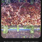 Business 5 image ROOFLINE REPLACEMENT Roofing Services in Leicester Le