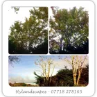 Business 12 image ROOFLINE REPLACEMENT Roofing Services in Leicester Le