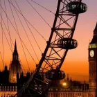 Business 8 image ROSE GUESTHOUSE Travel & Tourism in London Gr