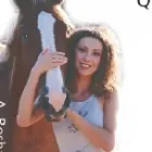 Business 1 image ROSHAUNA RIDING SCHOOL & TRAINING CENTRE Riding Schools in FAREHAM Ha