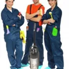 Business 1 image ROWLANDS PHARMACY Pharmacies in Waterlooville Ha