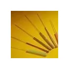 Business 10 image SAKS HAIR & BEAUTY Hairdressers in Aberdeen Ab