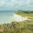 Business 3 image SALLY MCARDLE Mental Health Services in Newry Co