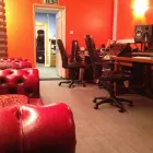 Business 2 image SAMS DOG WALKING & PET SERVICES Pet Services in WHITLEY BAY Ty