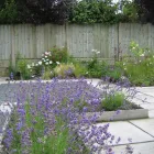 Business 27 image SANDHAR STORES LTD Newsagents in West Bromwich We