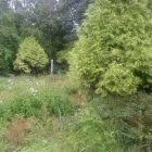 Business 1 image SANTANDER AGENCY Banks & Financial Institutions in Leicester Le