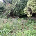 Business 4 image SANTANDER AGENCY Banks & Financial Institutions in Leicester Le