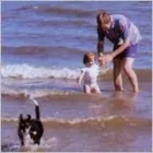 Business 7 image SANTANDER Banks & Financial Institutions in Hull No