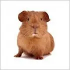 Business 13 image SANTANDER Banks & Financial Institutions in Hull No