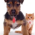 Business 16 image SANTANDER Banks & Financial Institutions in Hull No