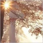 Business 4 image SANTANDER Banks & Financial Institutions in Hull No