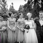 Business 7 image SAWS & MOWERS Lawnmowers & Garden Equipment in Droitwich Wo