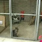 Business 4 image SCOPE CHARITY SHOP Charity Shops in Ilford Gr