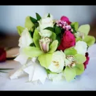 Business 1 image SENIOR WRIGHT LTD Property & Liability Insurance in Bristol Av