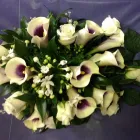 Business 13 image SENIOR WRIGHT LTD Property & Liability Insurance in Bristol Av