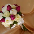 Business 17 image SENIOR WRIGHT LTD Property & Liability Insurance in Bristol Av