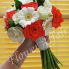 Business 5 image SENIOR WRIGHT LTD Property & Liability Insurance in Bristol Av