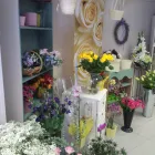 Business 1 image SENTRY42 Computer Services in Whyteleafe Su