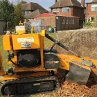 Business 1 image SIMPLY STUMPS - TREE STUMP REMOVAL Tree Services in High Wycombe Bu