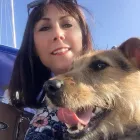 Business 3 image SMALL PAW ADVENTURES Pets & Animals in Woking Su