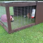 Business 7 image SMALL PET HOTEL Pet Services in Stoke-On-Trent St