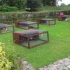 Business 9 image SMALL PET HOTEL Pet Services in Stoke-On-Trent St