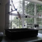 Business 10 image SMALL PET HOTEL Pet Services in Stoke-On-Trent St