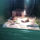 Business 15 image SMALL PET HOTEL Pet Services in Stoke-On-Trent St